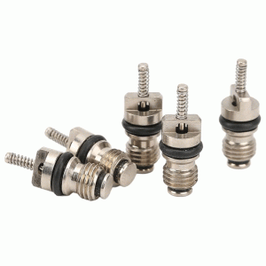 Air Conditioning A/C Schrader Valves Hyundai Kia 10 pcs