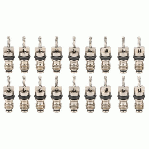 Air Conditioning A/C Schrader Valves Hyundai Kia 20 pcs
