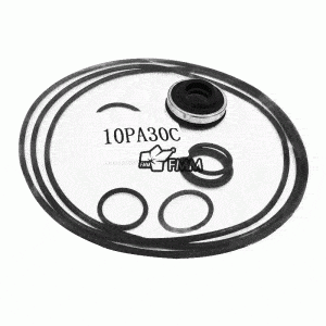 Denso 10P30 10P30C 10PA30C A/C Compressor Shaft Seal Kit Toyota Coaster